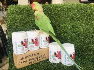 D’ Nutrical gói lẻ 20gr