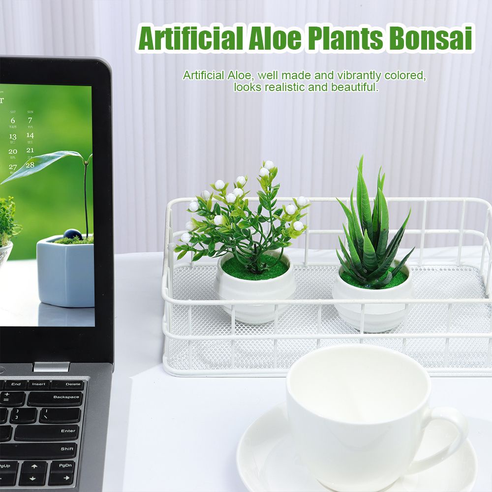 Chậu cây bonsai giả mini dùng trang trí bàn làm việc