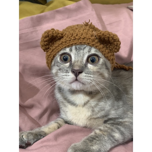 Nón len nhiều mẫu cho mèo, cún, thỏ,....