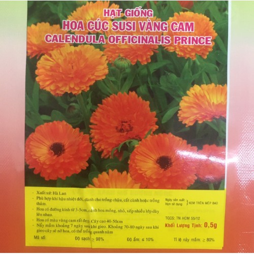 Hạt giống HOA CÚC SUSI màu Vàng cam - Gói 0,5 gram