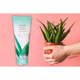 Tẩy Da Chết Lô Hội DABO ALOE PEELING GEL 180ml 💖 FREESHIP 💖 Cam Kết Hàng Chính Hãng 100% 💖 Trắng Da, Mờ Thâm Xạm 💖