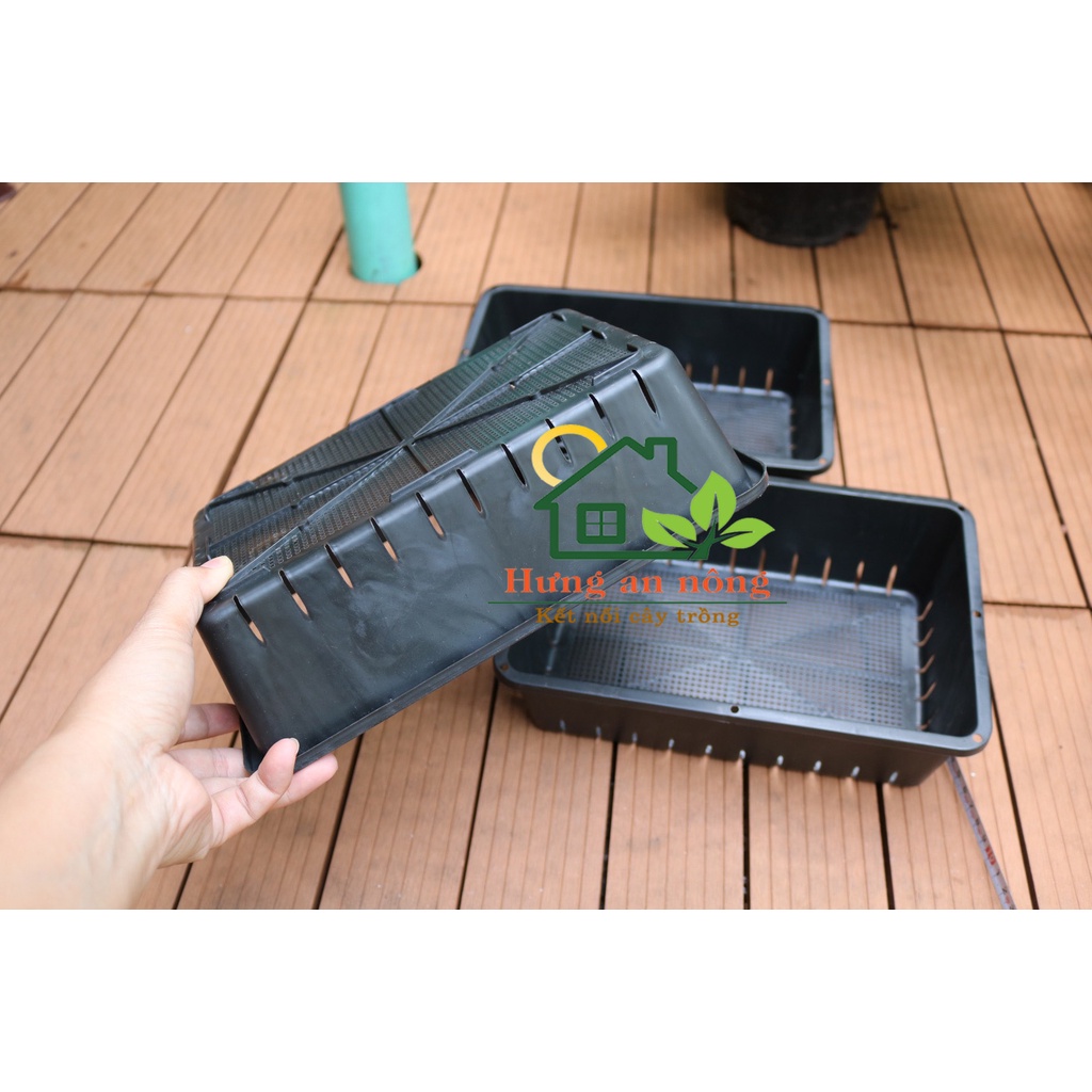 Khay nhựa chữ nhật dùng trồng rau mầm, ươm sen đá xương rồng size 26x17x7cm,đáy lưới