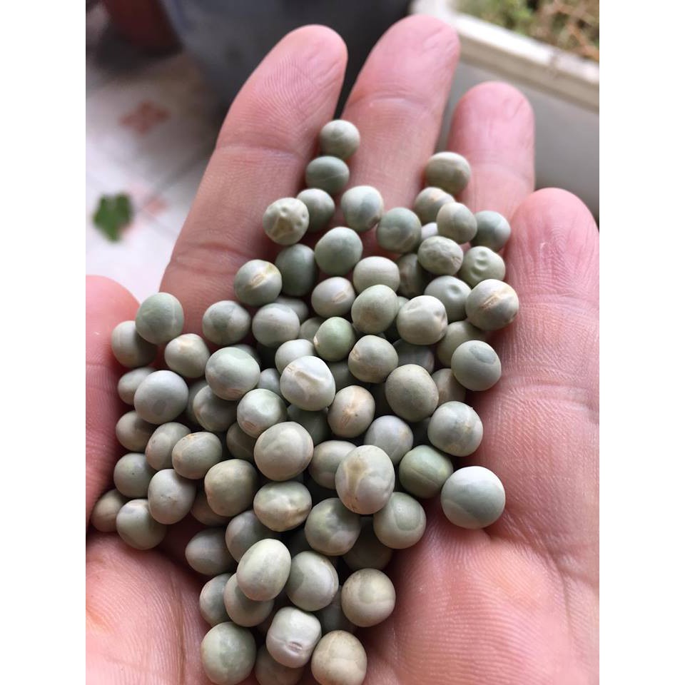 Đậu Hà Lan xanh nguyên hạt gói 200-500g