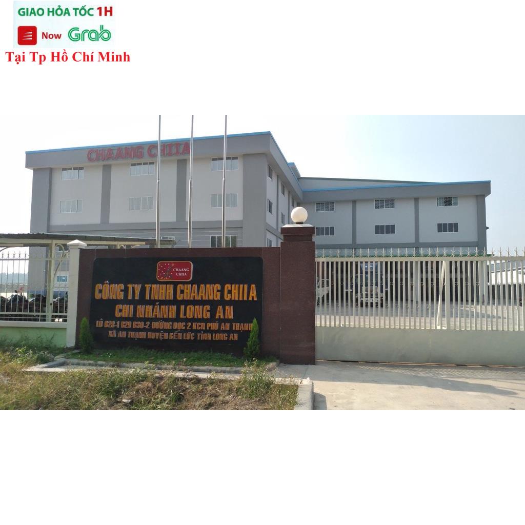 Cây Thông Noel 1m2 và 90cm Hàng Việt Nam Loại Đẹp Trang Trí Noel Giáng Sinh