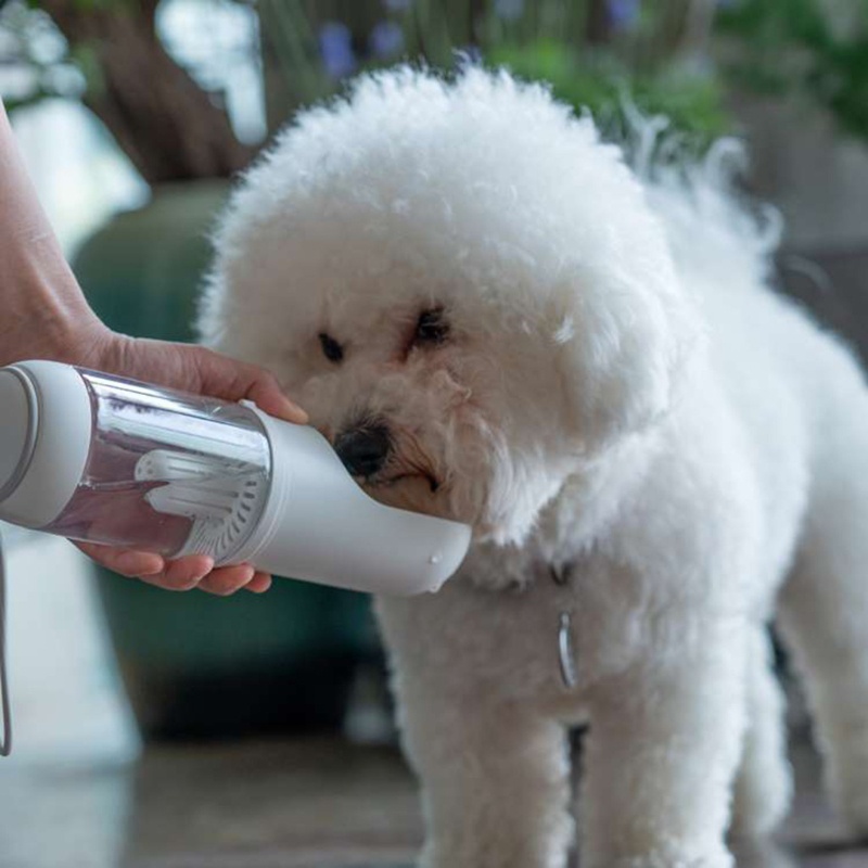 Bình Đựng Nước Uống Cho Thú Cưng