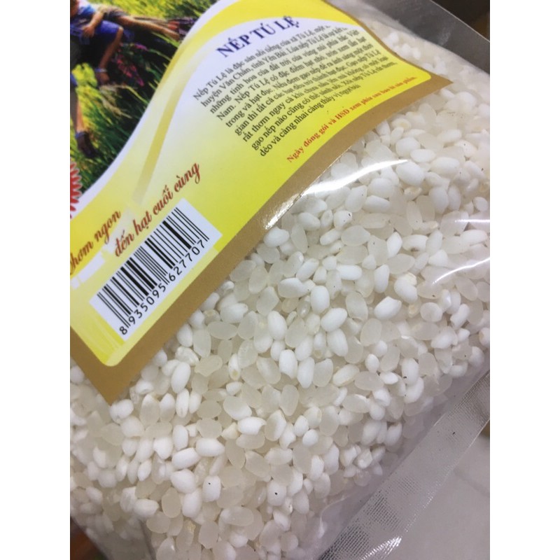 Gạo nếp Tú Lệ 1kg, đặc sản vùng cao Yên Bái