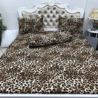 Bộ drap thun hàn quốc - mẫu beo - giá hấp dẫn