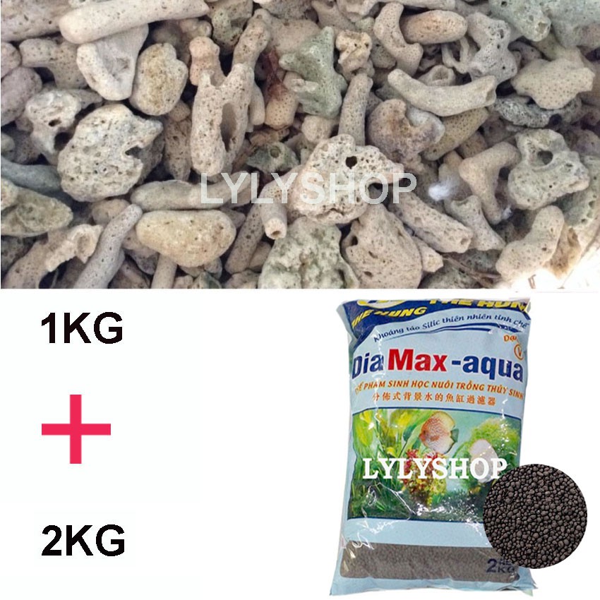 San hô 1KG vật liệu lọc,tăng PH,trang trí bể cá + Đất nền thủy sinh Diamax aqua 2KG giàu dinh dưỡng, giúp cây phát triển