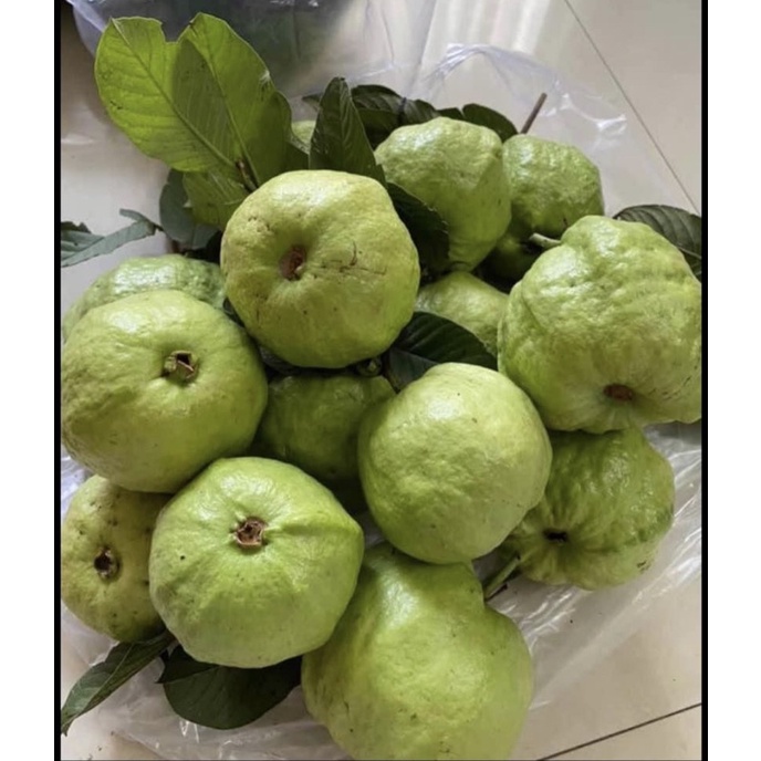 Combo 3Kg Ổi Nữ Hoàng
