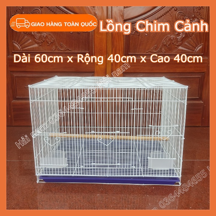 Lồng nuôi Yến Phụng ⚡LOẠI 60x40x40cm⚡ Lồng nuôi chim cảnh nhỏ