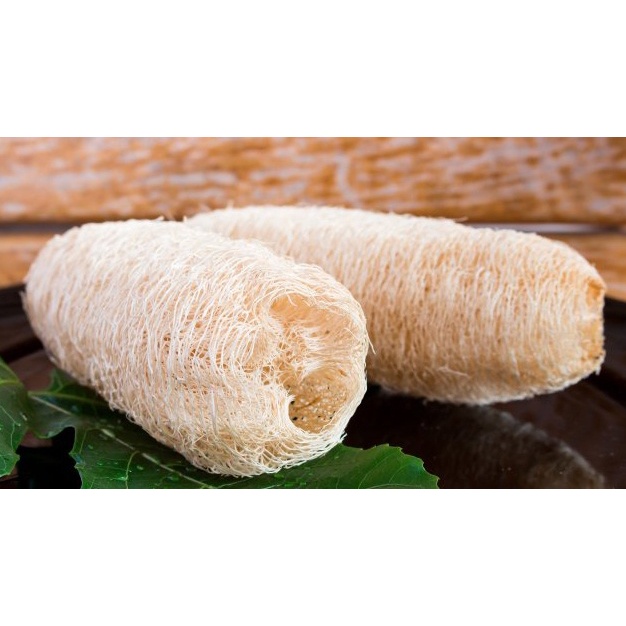 Xơ Mướp Khô Tự Nhiên, Để Tắm, Tẩy Da Chết, Rửa Bát Bena Organic