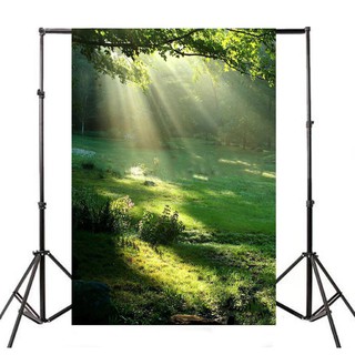 Phông Nền Chụp Ảnh Hình Rừng Xanh Thiên Nhiên