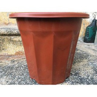 Combo 10 chậu nhựa nâu e280 - 23x20cm