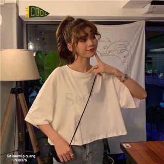 Áo crt thụng see - LN