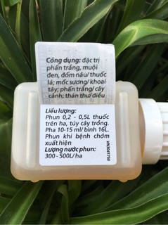 Score 250EC 50ml Syngenta