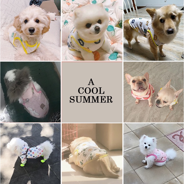 Áo chống nắng thoáng khí đáng yêu cho thú cưng