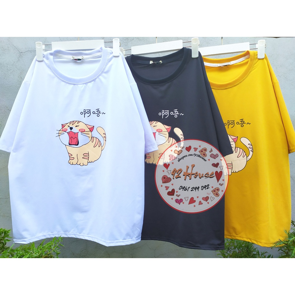 Áo thun tay lỡ unisex mèo ngáp form rộng tay lỡ / Áo phông nữ