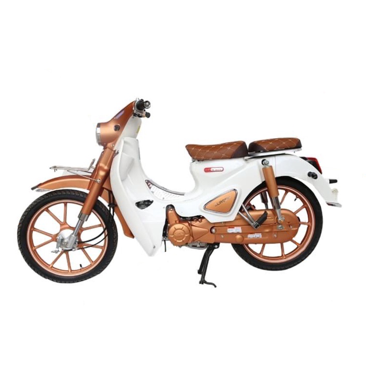 Xe Máy 50cc Cub Ally Classic Bản Độ