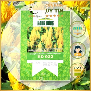 Hạt Giống Hoa Mào Gà Đuôi Phụng Vàng RD 922