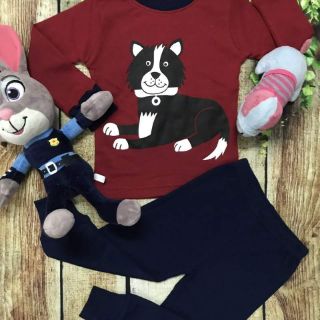 Set 5bộ thu đông carter cho bé