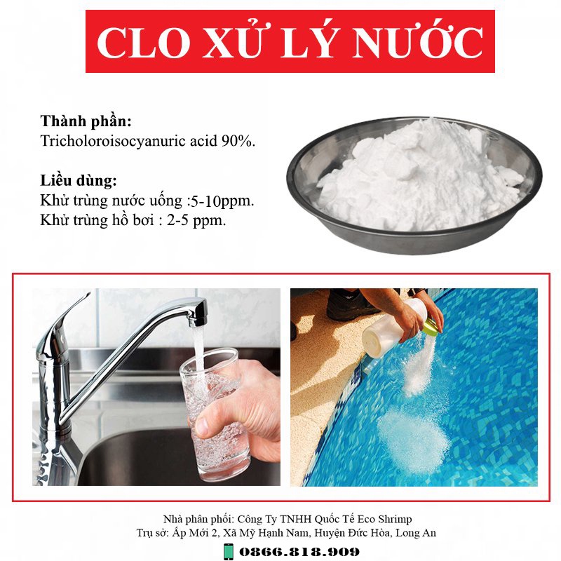 Hộp 1 Kg Chlorine Bột - Clo 90% Xử Lý Nước Làm Trong Nước Hồ Bơi - Khử Trùng Nước Sinh Hoạt