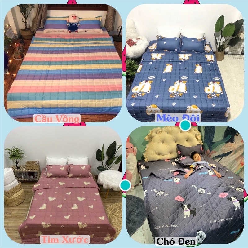 Bộ chăn hè trần bông ga gối 5 món poly cotton nhiều mẫu lựa chọn | BigBuy360 - bigbuy360.vn