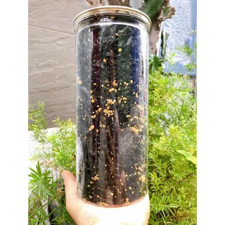 200g rong biển cháy tỏi ăn là ghiền