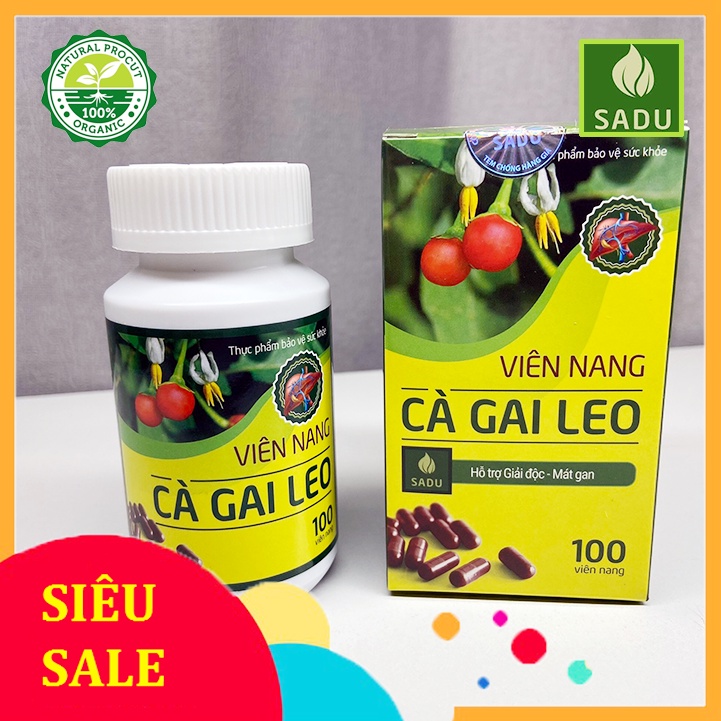 Viên nang cà gai leo Sadu combo 3 tặng 1