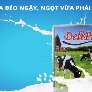 [LẺ GIÁ SỈ] 12 lon SỮA ĐẶC DELIPURE 380g