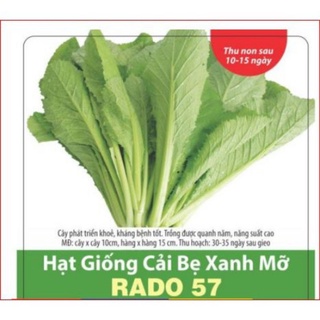 HẠT GIỐNG CẢI BẸ XANH MỠ RADO 57-20g