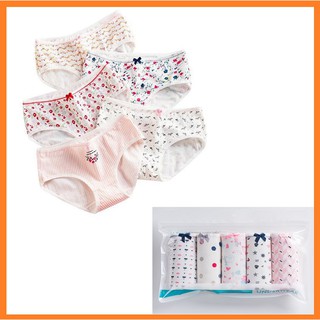 Bộ 5 quần lót nữ trong túi zip xinh xắn - quần chip cotton kháng khuẩn cao cấp