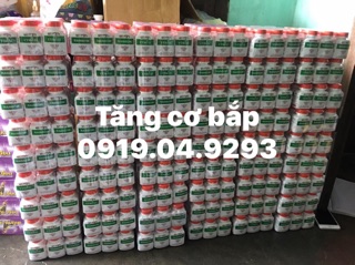 Tăng cơ bắp cho gà đá