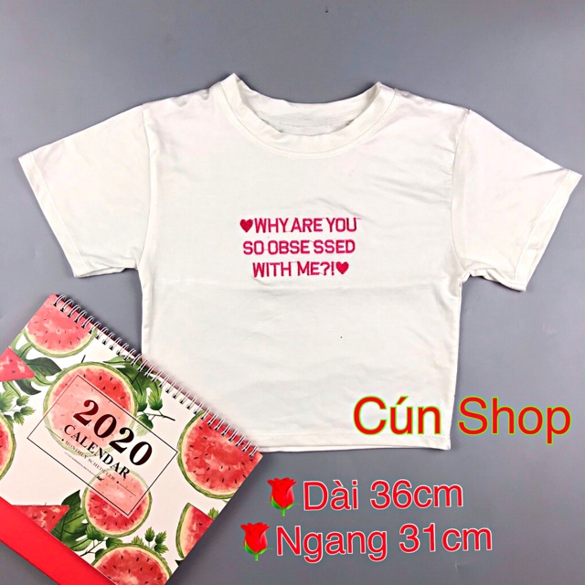 Áo croptop thun lạnh mềm mịn thêu chữ 5 màu RICH STORE CRT16