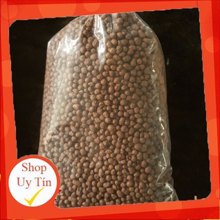 Hòn đất nung hạt trung chuyên rải nền sen đá, xương rồng cực đẹp, sang chảnh🔥 |FREESHIP 🌺 HÀNG UY TÍN | LỖI 1 ĐỔI 1