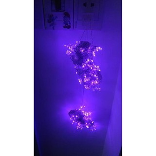 Sale đèn led dây không nháy 7m hồng