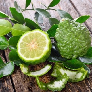 Hạt giống chanh Thái, chanh bưởi Thái, Kaffir lime - 10 hạt