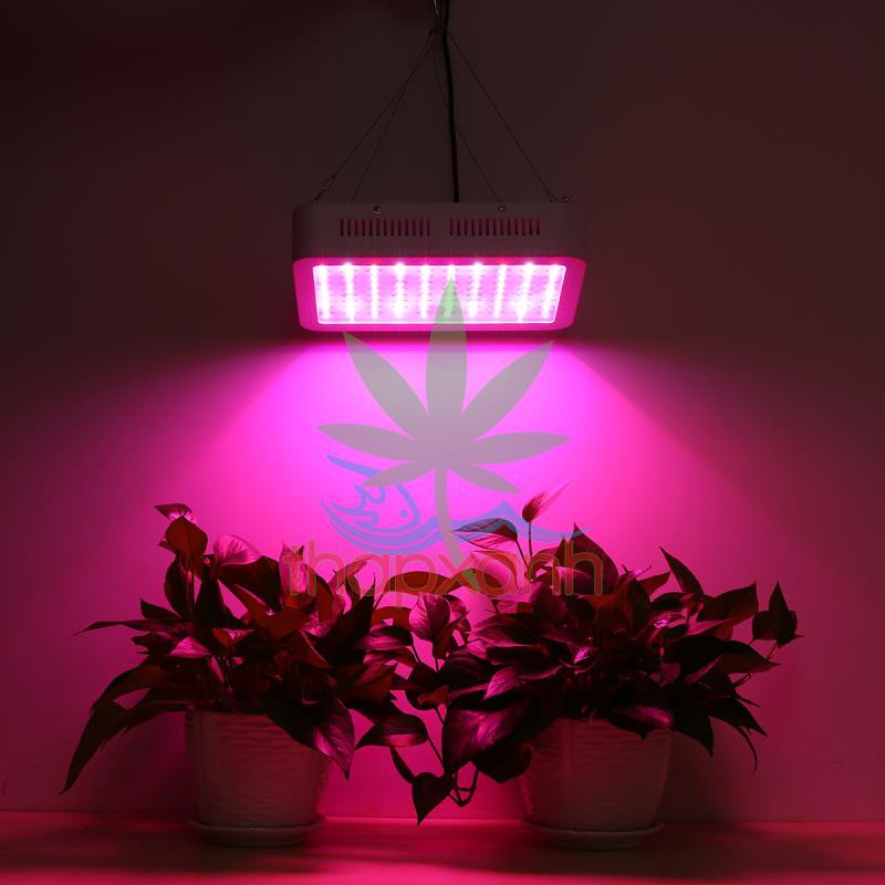 Đèn Led trồng cây, đèn trồng cây trong nhà, led grow light (GL-300W)
