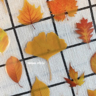 Set 20 sticker trang trí sổ "Chiếc lá cuối cùng"