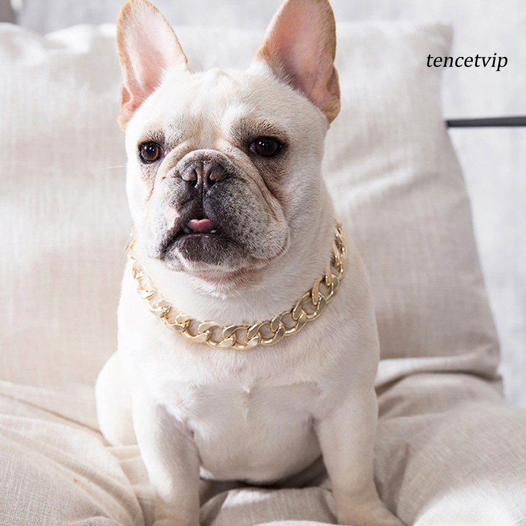 Vòng Cổ Bằng Nhựa Có Thể Điều Chỉnh Dành Cho Chó Pitbull