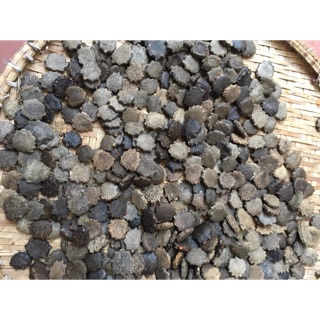 Hạt gấc khô 1kg ( mộc miết tử)