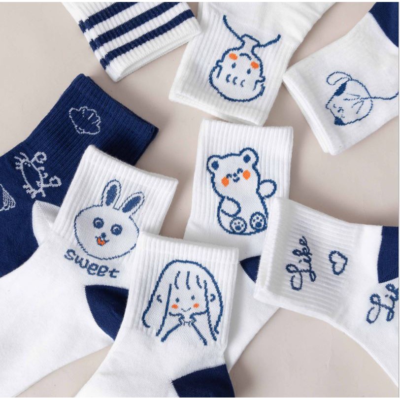 Set 5 Đôi Tất Vớ Cao Cổ Trắng Mix Hình Ms.Hello