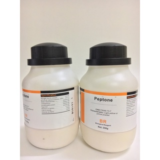 Hoá chất Peptone 250gr -Trung Quốc nuôi cấy vi sinh đông trùng hạ thảo.
