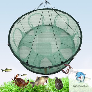 Lồng lưới bắt cá dạng tròn chuyên dụng