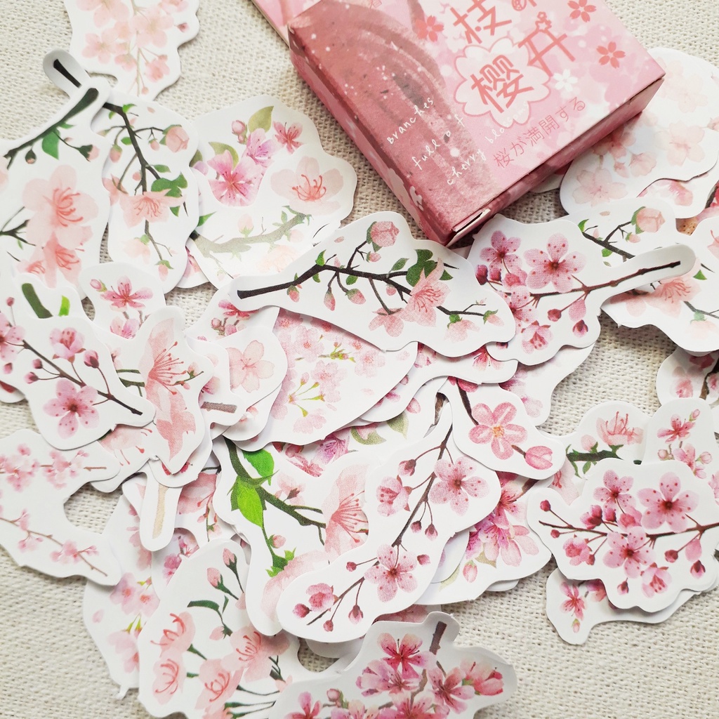 Hộp 45 miếng sticker mẫu cành hoa anh đào