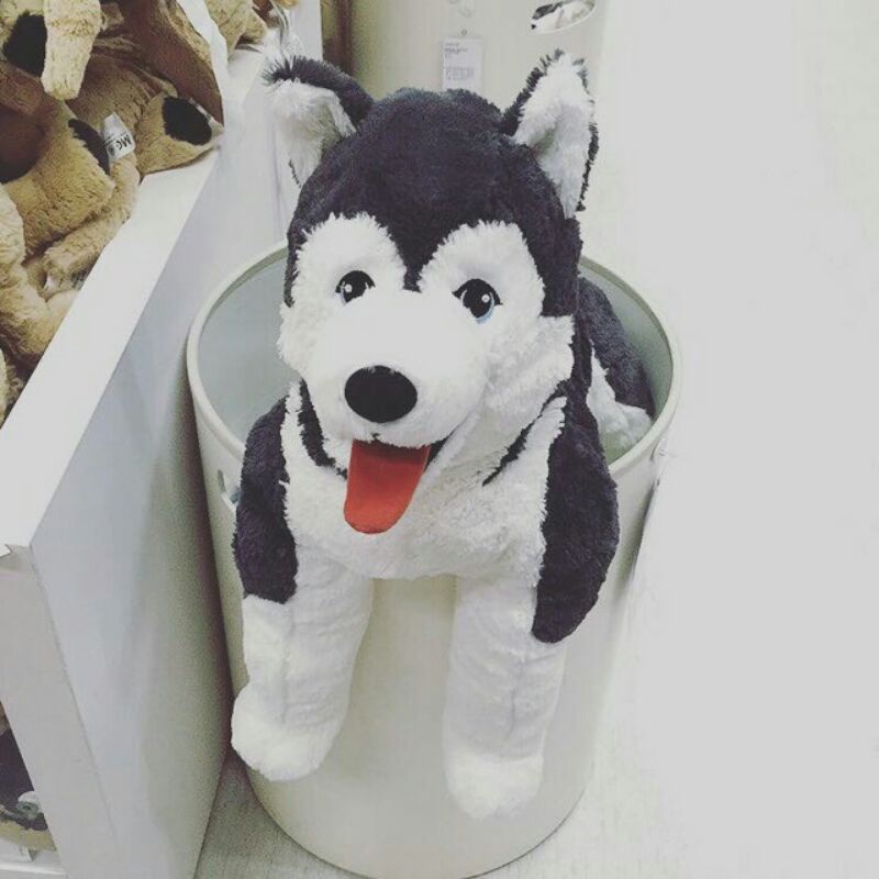 Gấu bông chó husky chính hãng Ikea