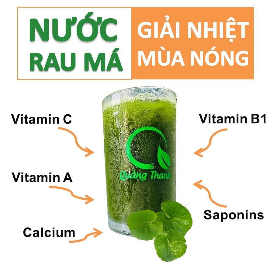 Bột Rau Má Uống Liền Đường Phèn Quảng Thanh Giúp Thanh Nhiệt Hộp 10 gói x 15g/gói