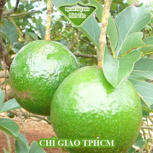 Bơ Booth béo dẻo thơm ngon gói 1 kí