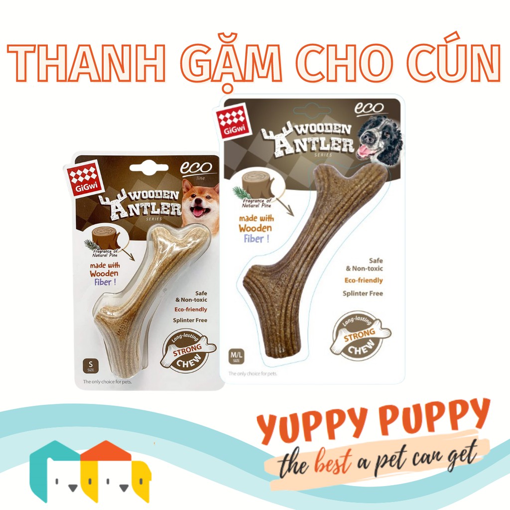 Gigwi Thanh gặm gỗ ép thiên nhân an toàn tuyệt đối khi nuốt phải cho cún
