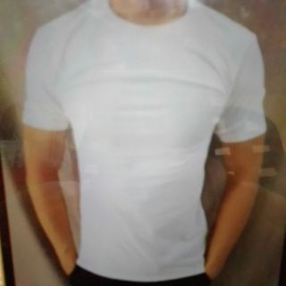 Áo thun nam body