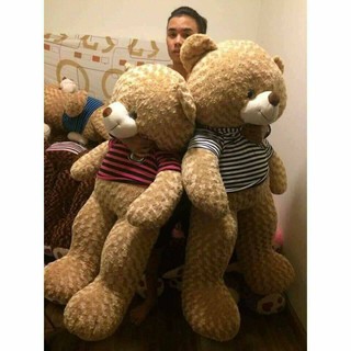 [ Gấu bông 2m2 ] Gấu bông teddy 2m2